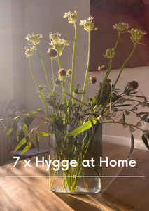 Unsere 7 Tipps für ein hyggeliges Zuhause. Licht und Pflanzen spielen dabei eine Rolle, daher hier der Design-Klassiker Aalto-Vase von iittala mit Blumen auf einem Tisch, auf den Sonnenlicht fällt.