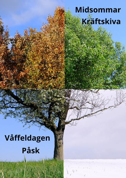 Knut, Midsommar oder Nationalfeiertage im Norden? Hier erfahren Sie, wie ein Jahr in Schweden abläuft.