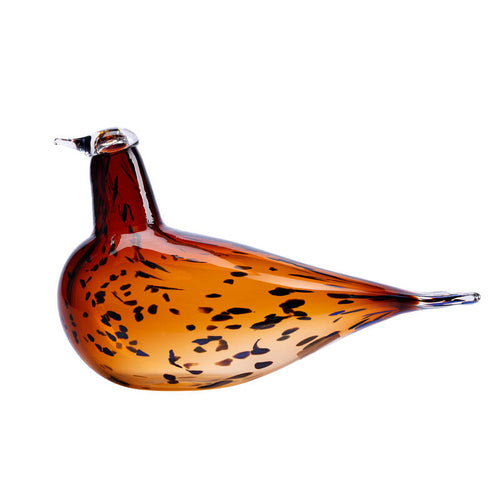 Glasvogel PEKKASIINI