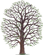 Zinn Baum   -diverse-