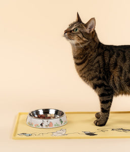 Futternapf MOOMIN Katze