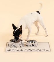 Futternapf MOOMIN S