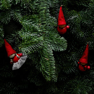 ELFE "Jingle Bells"