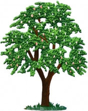 Zinn Baum