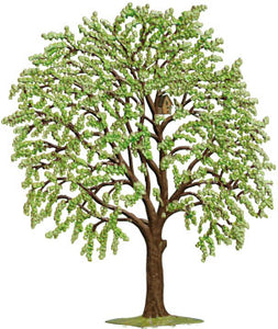 Zinn Baum